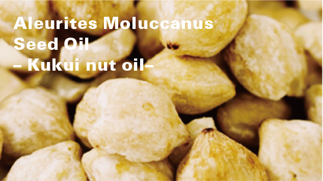 Aleurites Moluccana Seed Oil– Kukui nut oil– 