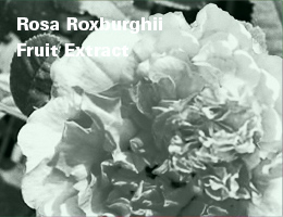 Rosa Roxburghii Fruit Extract